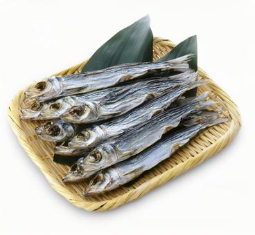 めざし ざる盛り めざし ざる盛り めざし,メザシ,ざる盛りの写真素材