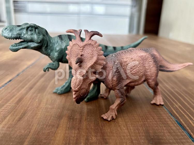 ティラノサウルスとトリケラトプスの人形 ティラノサウルス,トリケラトプス,恐竜の写真素材
