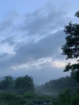 Photo, mountain, woods, fog, 