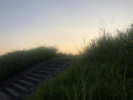 土手の階段に沈む夕日 夕日,夕方,日没の写真素材