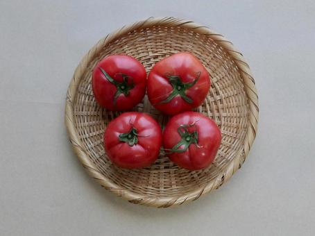 トマト トマトの写真
