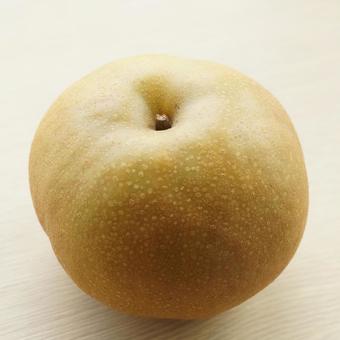 1個の和梨 秋の味覚 フルーツ 1:1 1個の和梨 秋の味覚 フルーツ 1:1 梨,和梨,1:1の写真素材