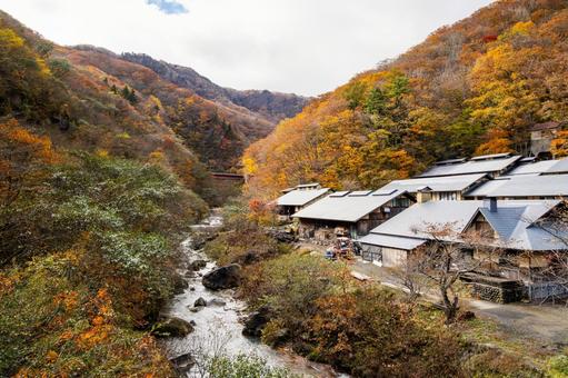 蔵王の紅葉(41) 蔵王,紅葉,秋の写真素材
