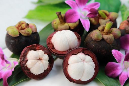 Photo, mangosteen, fruit, tropical fruits, 
