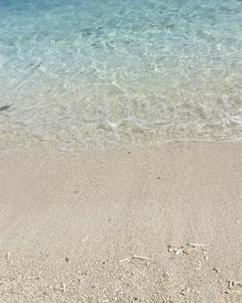 夏の浜辺の写真