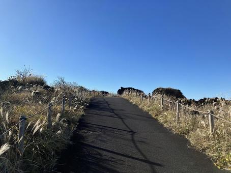 大島三原山山頂のススキ風景 大島,三原山,山頂の写真素材