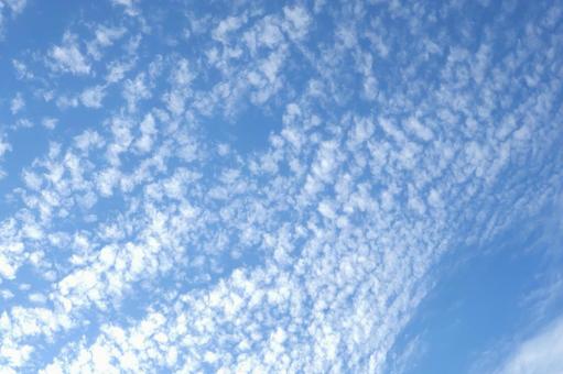 うろこ雲(いわし雲・ひつじ雲)秋の空 秋 うろこ雲(いわし雲・ひつじ雲)秋の空 秋の写真