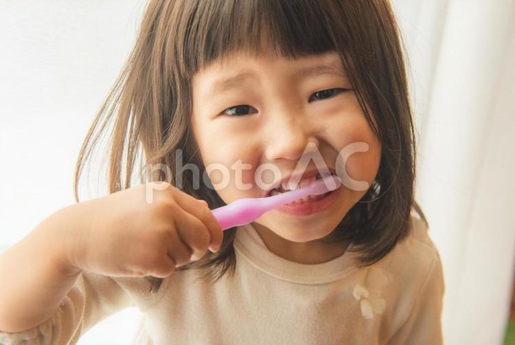 歯を磨く 歯磨き,歯ブラシ,磨くの写真素材