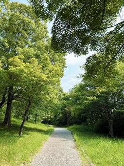 A promenade surrounded by greenery, JPG