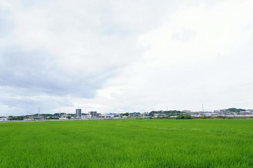 田舎の風景 田舎の風景の写真