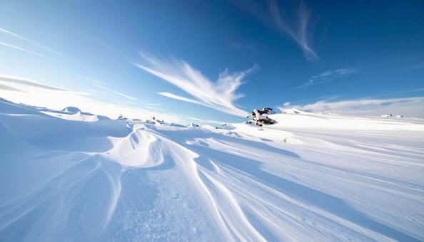 冬の雪、青い空 冬の雪、青い空の写真