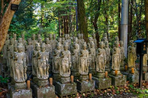 安狐山斗蔵寺⑶ 寺,寺院,安狐山斗蔵寺の写真素材