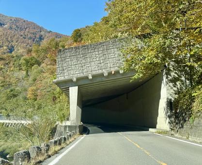 秋の山奥の道路　福井県大野市九頭竜川周辺 スノーシェッド,トンネル,道路の写真素材