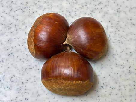 栗 栗,マロン,クリの写真素材
