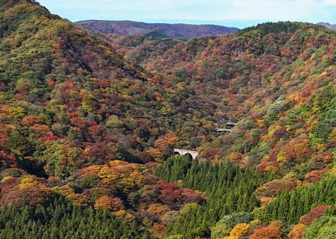 めがね橋と紅葉の山　空撮 紅葉,山,赤の写真素材