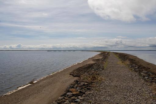 左にカーブして曲がる海の中の遊歩道 左にカーブして曲がる海の中の遊歩道 野付半島,砂嘴,トドワラの写真素材
