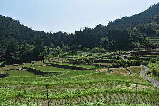 山奥の田棚 山奥の田棚の写真