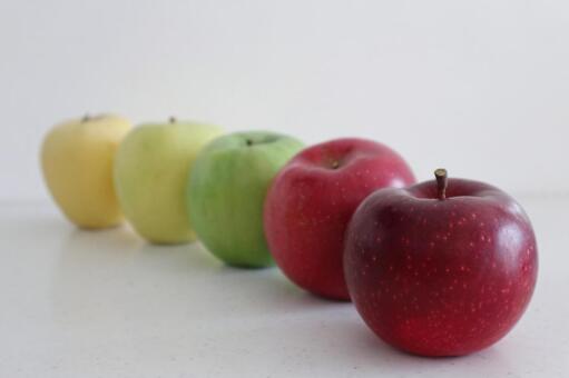 5種類のりんご 林檎,果物,アップルの写真素材