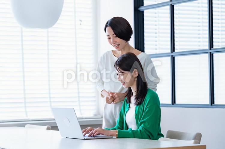 窓のある部屋でパソコンを見る女性二人 会議,教える,女性の写真素材