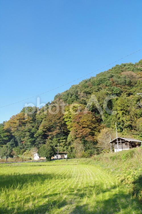 農村の風景（東京都西部、11月） 農村,田舎,里山の写真素材