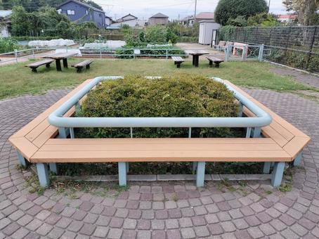 ベンチに囲まれた緑の植物 ベンチに囲まれた緑の植物 ベンチ,憩い,休憩の写真素材