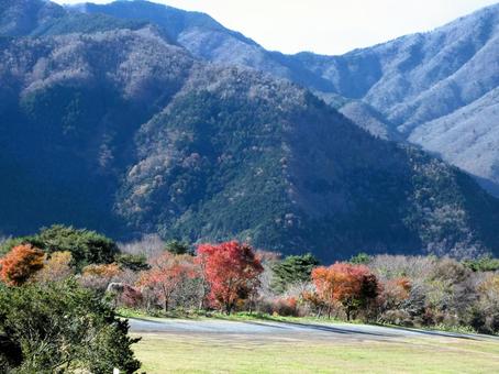 朝霧高原の美しい紅葉 朝霧高原の美しい紅葉 朝霧高原,紅葉,赤いの写真素材