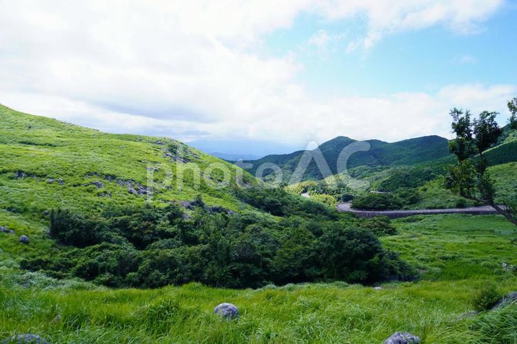 北九州　平尾台の風景 自然,平尾台,風景の写真素材