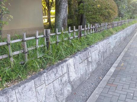 通路 通路 通路,葉,葉っぱの写真素材