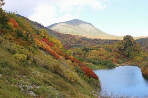 高原沼から緑岳 高原沼から緑岳の写真