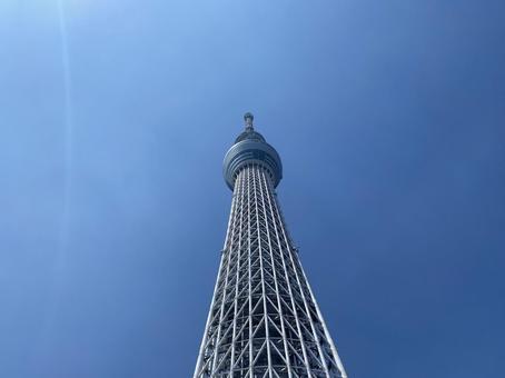 รูปถ่าย, โตเกียว, sky tree, หอคอย, 