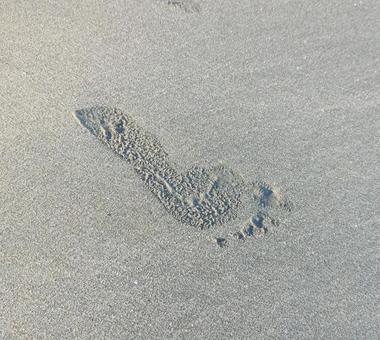 浜辺と足 浜辺と足の写真