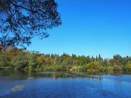 秋の景色１６ 秋,紅葉,池の写真素材