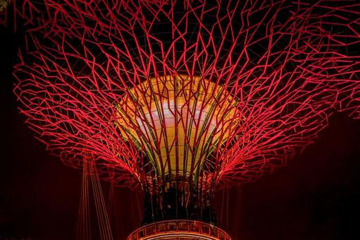 真紅に染まるスーパーツリー スーパーツリー,赤いライト,夜景の写真素材