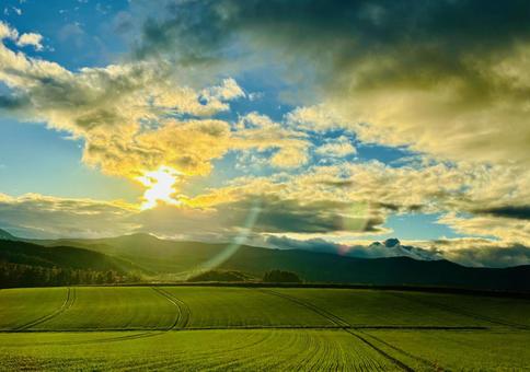 田んぼに沈んでいく夕日 田んぼに沈んでいく夕日 夕暮れ,夕日,棚田の写真素材