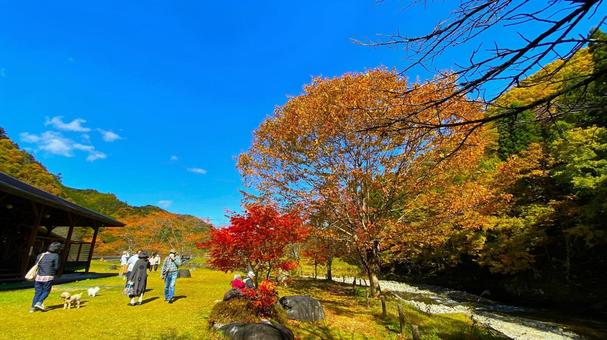 紅葉のせせらぎ街道 パスカル清見:2 紅葉のせせらぎ街道 パスカル清見:2 紅葉,せせらぎ街道,秋の写真素材