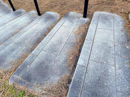 葛西臨海公園　階段 葛西臨海公園,階段,石階段の写真素材