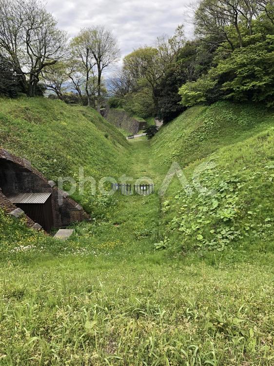 緑の豊かな風景 緑,風景,自然の写真素材