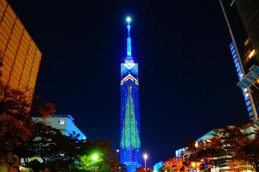 冬の福岡タワー_夜景1 風景,日本,九州の写真素材