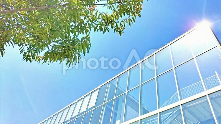 緑のビジネスイメージ ビジネス,ビル,ビジネスイメージの写真素材