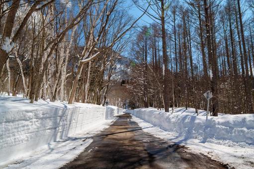 Photo, akiyama village, nagano prefecture, okimura, 