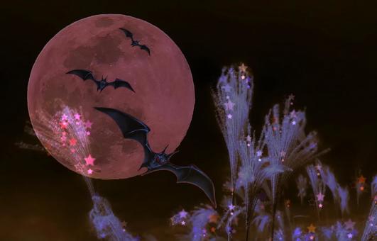 ハロウィンイメージ素材/幻想の赤い月夜 ハロウィンイメージ素材/幻想の赤い月夜 ハロウィン,月夜,赤い月の写真素材