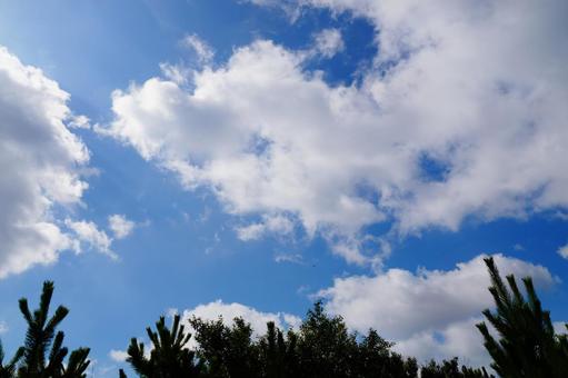 晴れの空 晴れの空の写真
