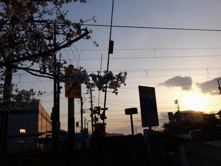 田舎の夕暮れ 田舎の夕暮れの写真