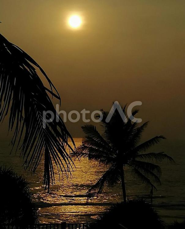 南国の夕暮れ ヤシの木,サンセット,ビーチの写真素材