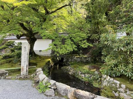 南禅寺 南禅寺,寺院,京都の写真素材