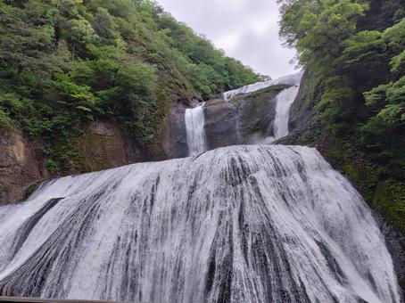袋田の滝 袋田の滝 滝,日本三名瀑,雨上がりの写真素材