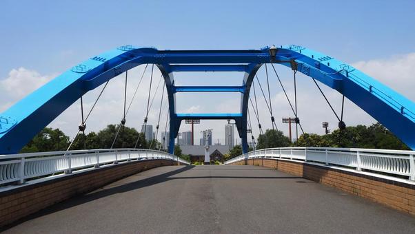 夏の夢の島公園・かもめ橋(東京都江東区) 夏の夢の島公園・かもめ橋(東京都江東区)の写真