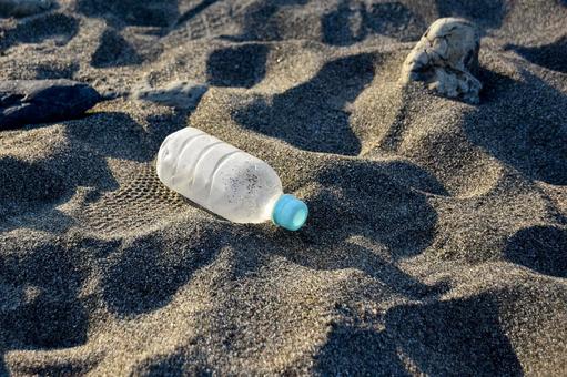 Abandoned plastic bottle, chai pet, từ chối, bãi biển sandy, JPG