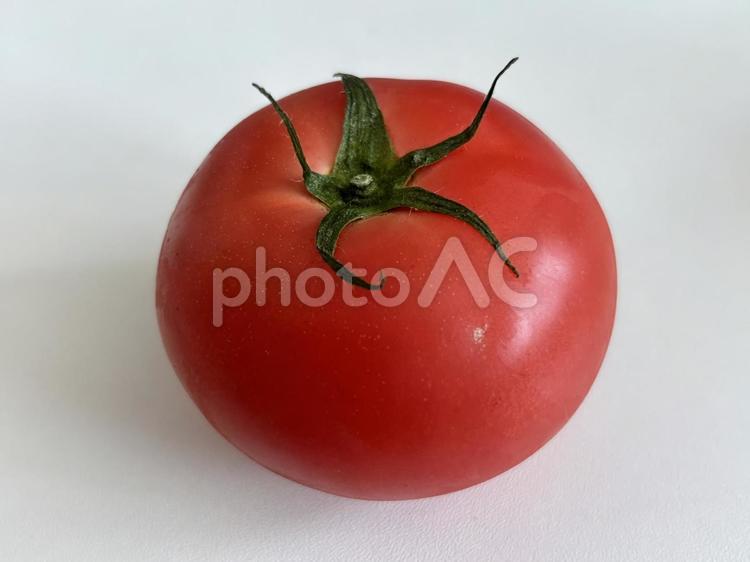 とまと トマト,とまと,tomatoの写真素材