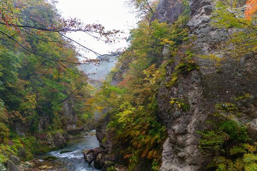鳴子峡の紅葉 鳴子峡,紅葉,渓谷の写真素材